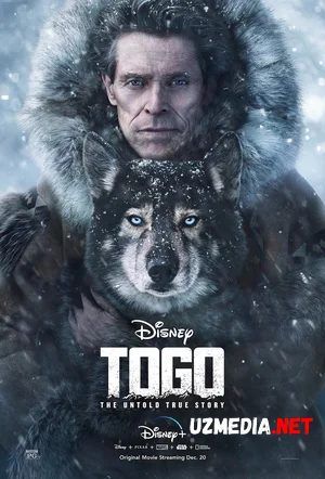 Togo / Tago Premyera Uzbek tilida O'zbekcha tarjima kino 2019 HD tas-ix skachat