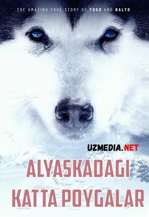 Alyaskadagi katta poygalar / Buyuk Alyaska Poygasi Uzbek tilida O'zbekcha tarjima kino 2019 HD tas-ix skachat