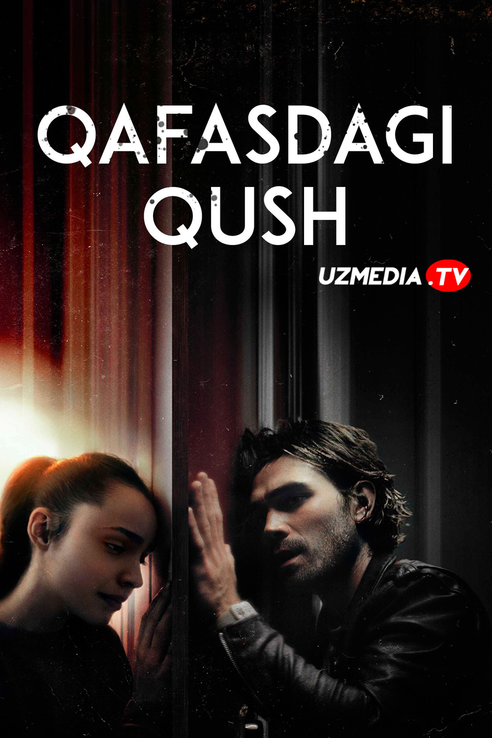 Qafasdagi qush: Zararlanish Premyera Uzbek tilida O'zbekcha tarjima kino 2020 Full HD tas-ix skachat