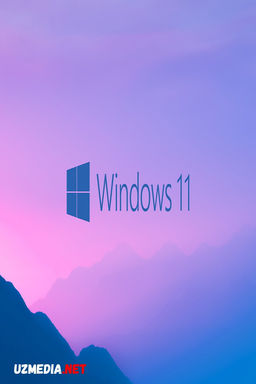 Windows 11 pro Rus-Eng + Aktivator Tas-IX skachat
